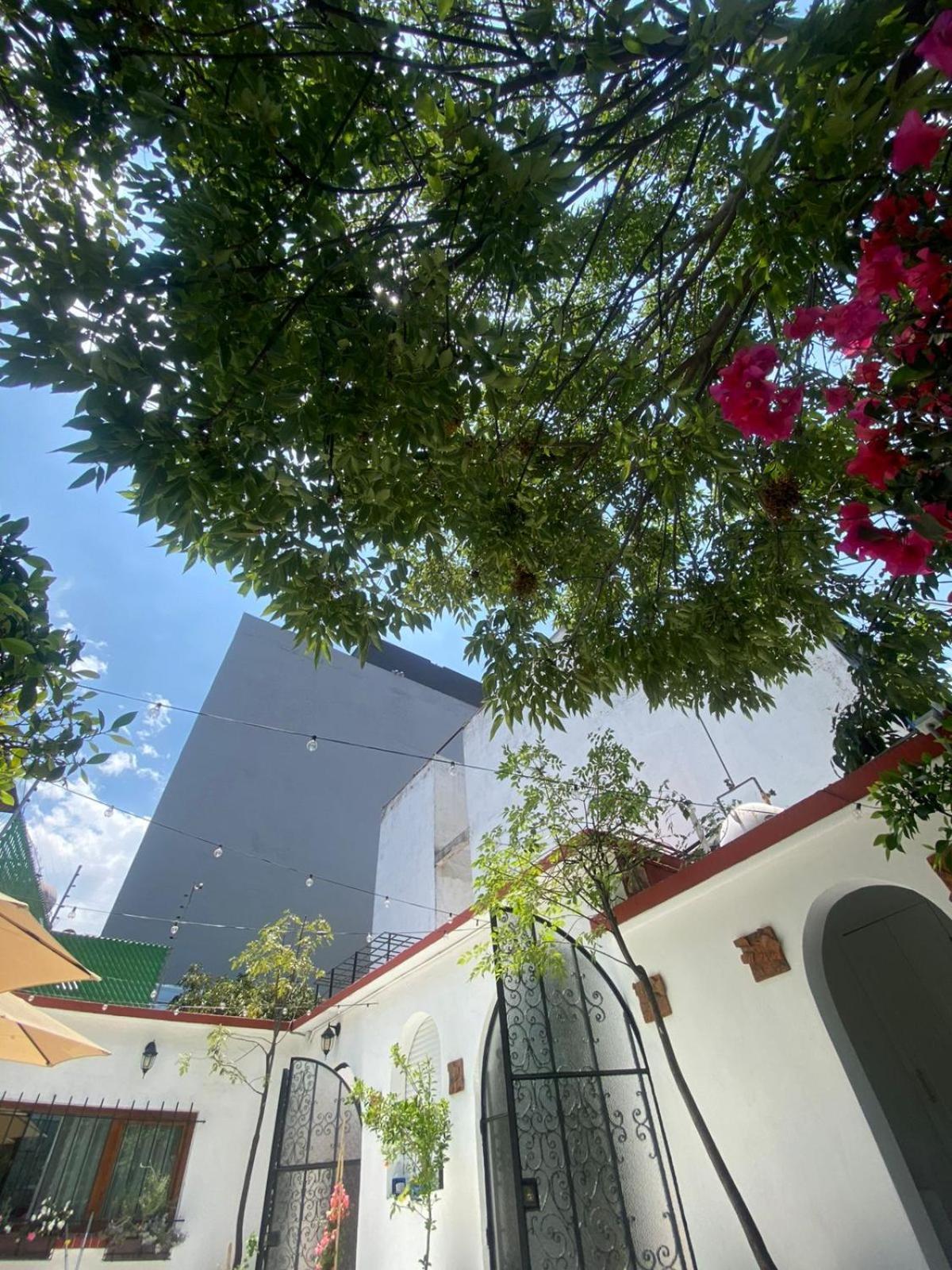 Nokal Exclusive Stay Mexico by Eksteriør bilde